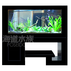 批發供應玻璃魚缸、生態魚缸及新式簡約花架柜式魚缸——保定海道水族科技